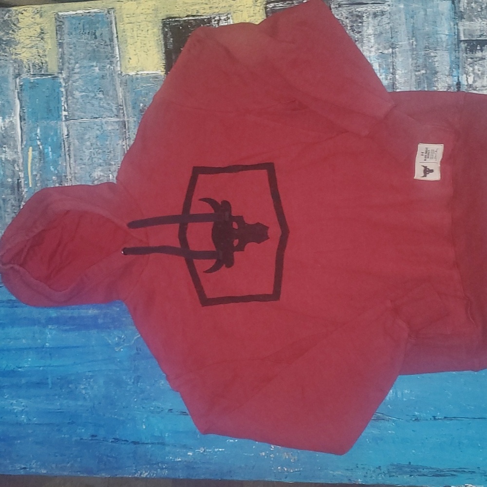 Under Armour mens graphic hoodie
